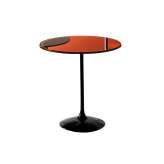 Sovet Tulip