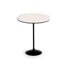 Sovet Tulip