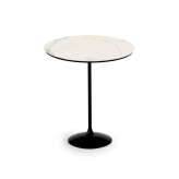 Sovet Tulip