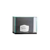 Sovet Nest wall version