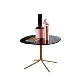 Sovet Genius