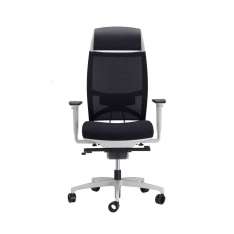 sitland Spirit Air executive