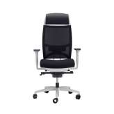 sitland Spirit Air executive