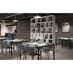 Sistema Midi Ecco Bookshelf