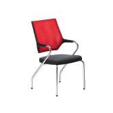 Sedus Stoll quarterback