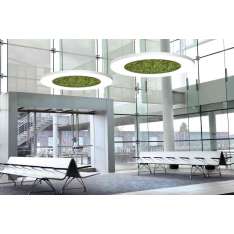 Sattler Luce Verde Anello