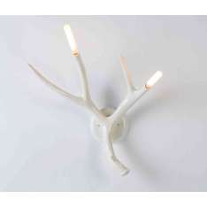 Roll & Hill Superordinate Antler Sconce (White)