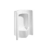 Roca Site | Urinal