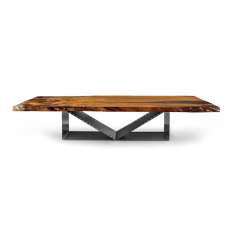 Riva 1920 Kauri Ciak