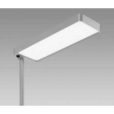 Regent Lighting Tweak Essential Office