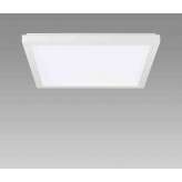 Regent Lighting Item