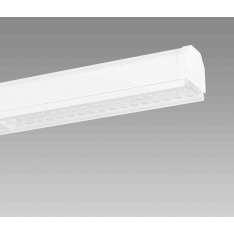 Regent Lighting Traq, Traq Case, Traq Office