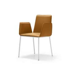 Quinti Sedute Minimax