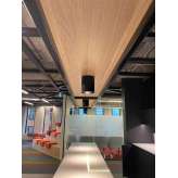 QC lightfactory Q.oker ceiling