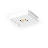 PVD Concept WHITE LINE AR48 UNO
