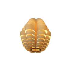 Passion 4 Wood Glow S