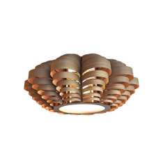Passion 4 Wood Glow M