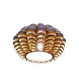 Passion 4 Wood Glow L-H
