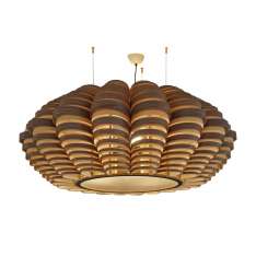 Passion 4 Wood Glow XL-L
