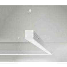 Panzeri Brooklyn Out