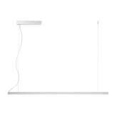 Panzeri Brooklyn Line