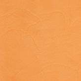 PANDOMO PANDOMO K2 - 17/7.2