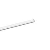 O/M Light Limit Flat