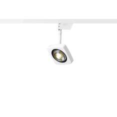 OLIGO Kelveen - Spot