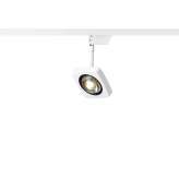 OLIGO Kelveen - Spot