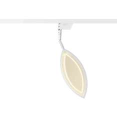 OLIGO Flavia - Spot