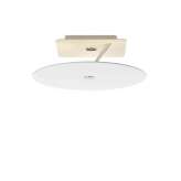 OLIGO Beamy Up - Ceiling luminaire