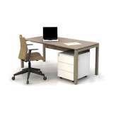 Nurus Silva Desk