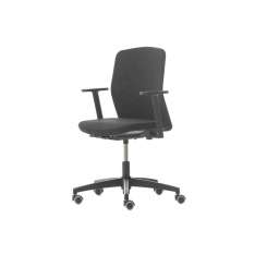 Nurus D Chair Fixed Low Back
