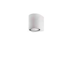 NOVA LUCE NERO Decorative Wall Lamp