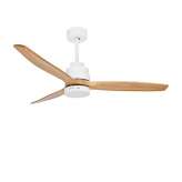 NOVA LUCE NATURE Decorative Ceiling Lamp