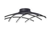 NOVA LUCE NARVI Decorative Ceiling Lamp