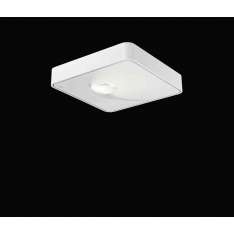 Nimbus Q One Surface