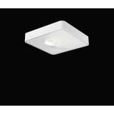 Nimbus Q One Surface