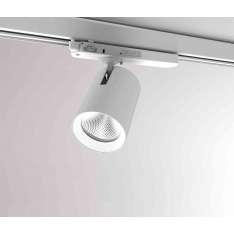 MOLTO LUCE Mova S Track