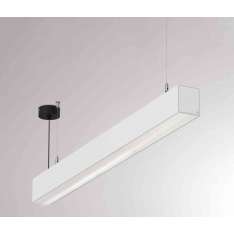 MOLTO LUCE Log Out 2.1 PD/PDI