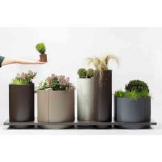 mmcité polys | planter