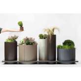 mmcité polys | planter