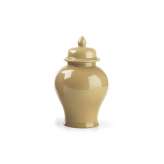 Marioni Cina | Small Ginger Jar