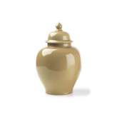 Marioni Cina | Medium Ginger Jar