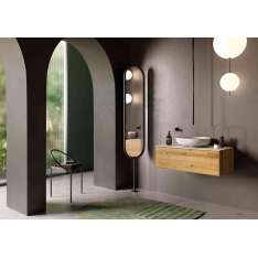 Lapidispa Siro | Vanity