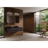 Lapidispa Nica | Vanity