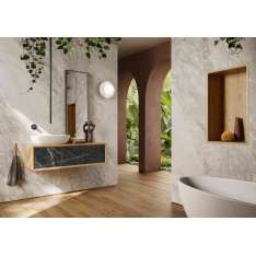 Lapidispa Nica | Vanity