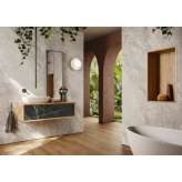 Lapidispa Nica | Vanity