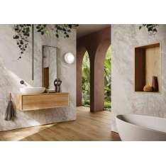 Lapidispa Nica | Vanity