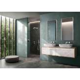 Lapidispa Mero | Vanity